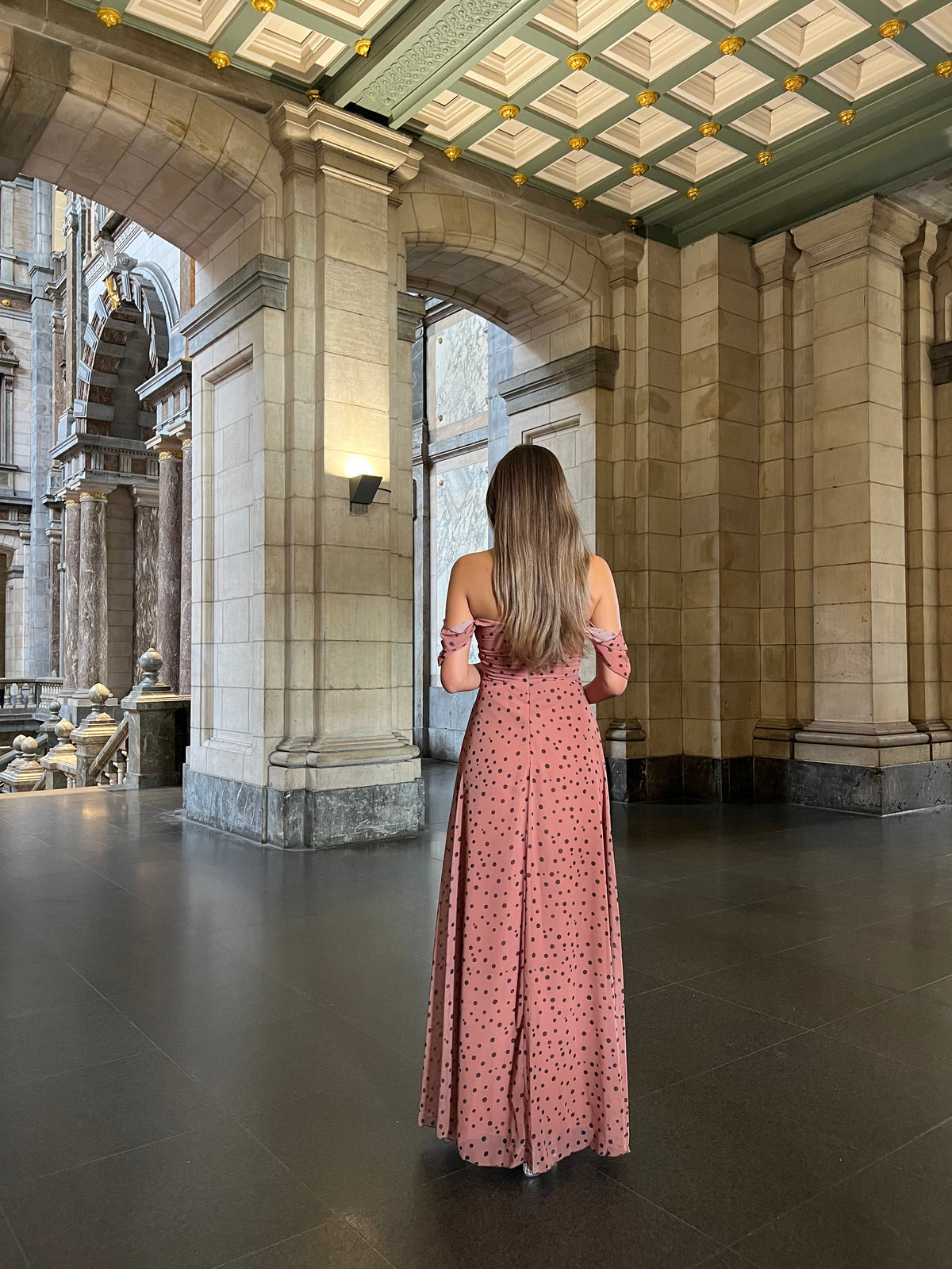 The Nisa dress brown